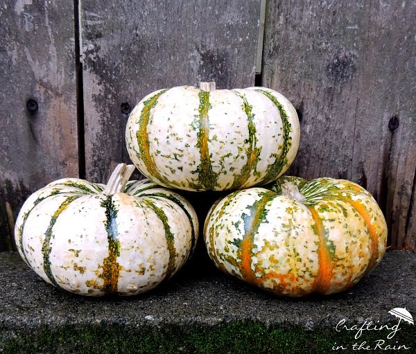 How to decorate pumpkins | Crafting in the Rain