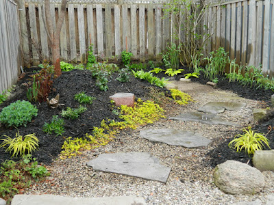 Paul Jung Gardening Services Toronto Danforth Coxwell backyard renovation after