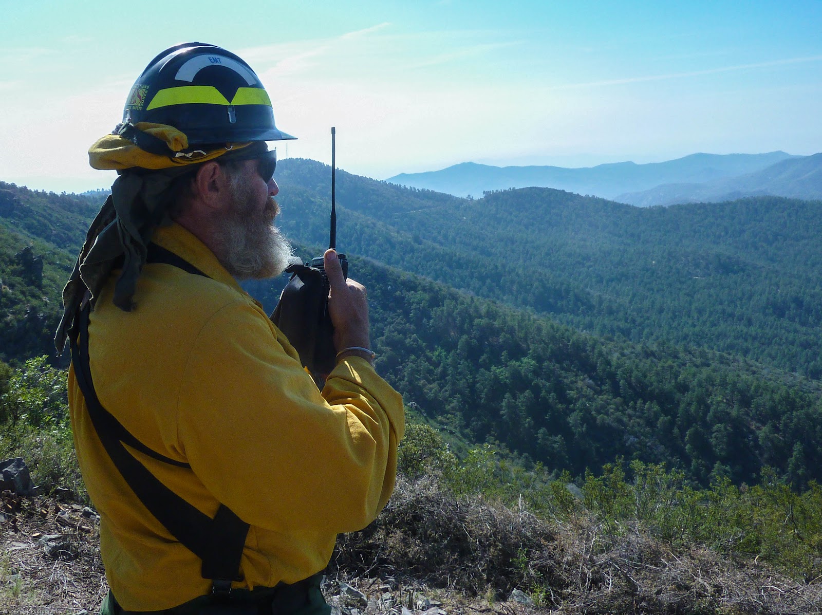 Bradshaw Mountains Bradshaw Mountain Fire Aftermath