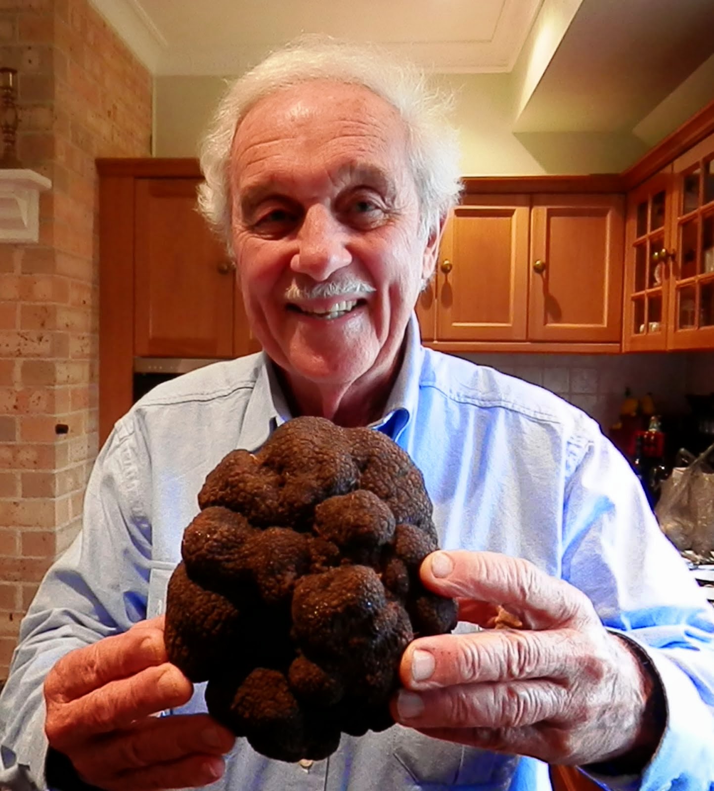 Трюфель «черный роше». Трюфель гриб доклад. Трюфель (грибы). Трюфель почему. Черный перигорский трюфель.