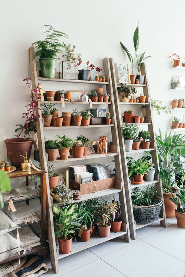 8 ideas del jardín 8 ideas del jardín
