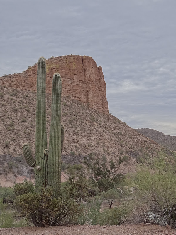 THE END Tortilla Flat, AZ Population 6