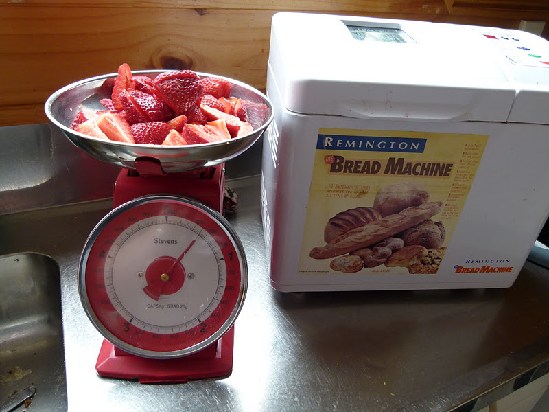 All things rusty and fabric: Bread maker Jam?