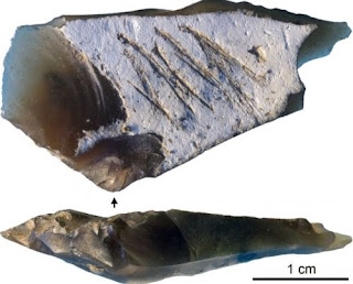 Una pedra gravada en el Paleolític prova la capacitat simbòlica dels neandertals