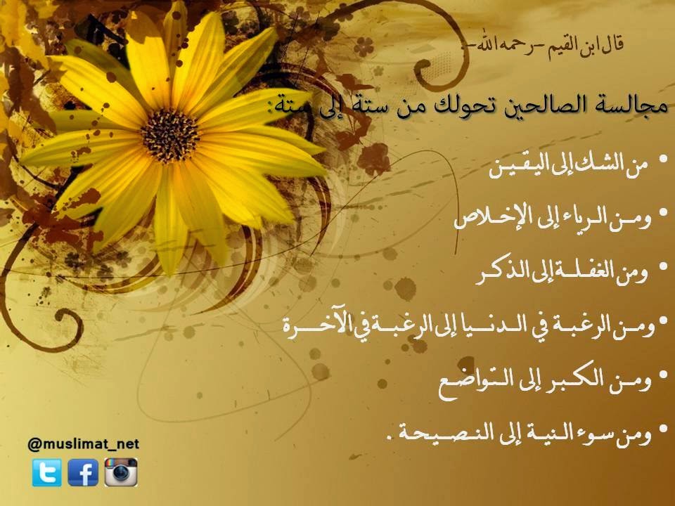 شبـــكة مسـلمـات مايو 2015 شبـــكة مسـلمـات مايو 2015