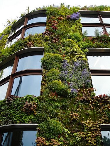 自然それとも建築？緑に覆われた緑化建築。8つ【arc】パトリック・ブランの壁面緑化