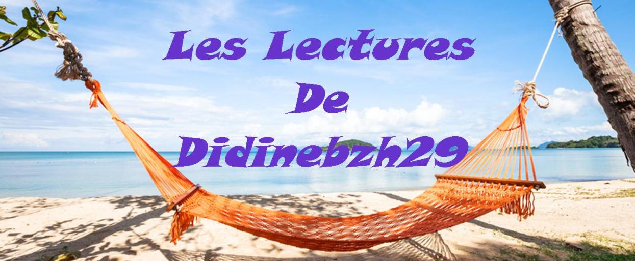 Les lectures de Didinebzh29