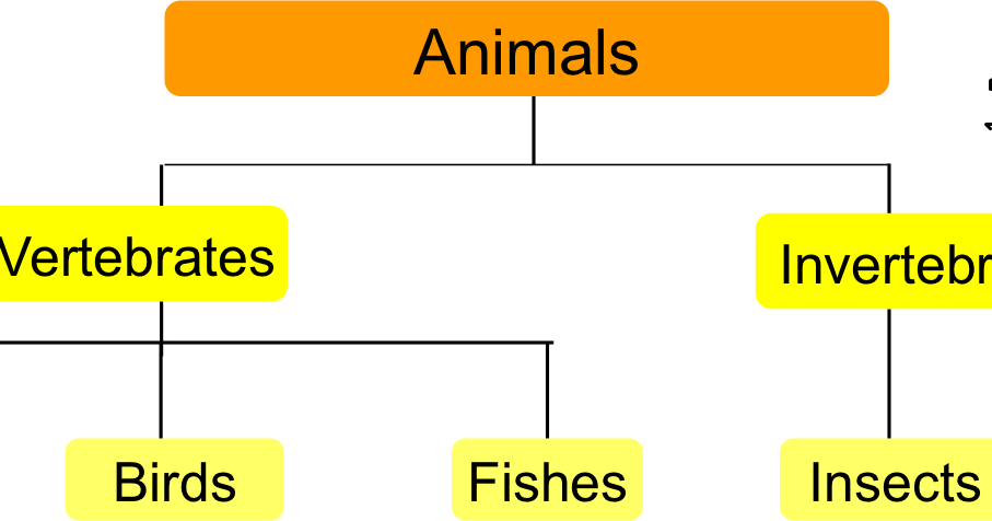 Lesson Plan of Classification & Characteristics of Animals ...
