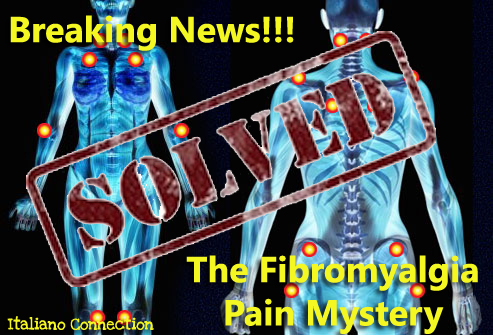Fibromyalgia Pain - Mystery Solved - Excessive Sensory Nerve Fibers