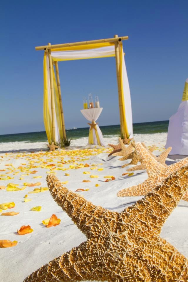 Wedding Stuff Ideas How to Plan a Beach Weddings in an Affordable Way