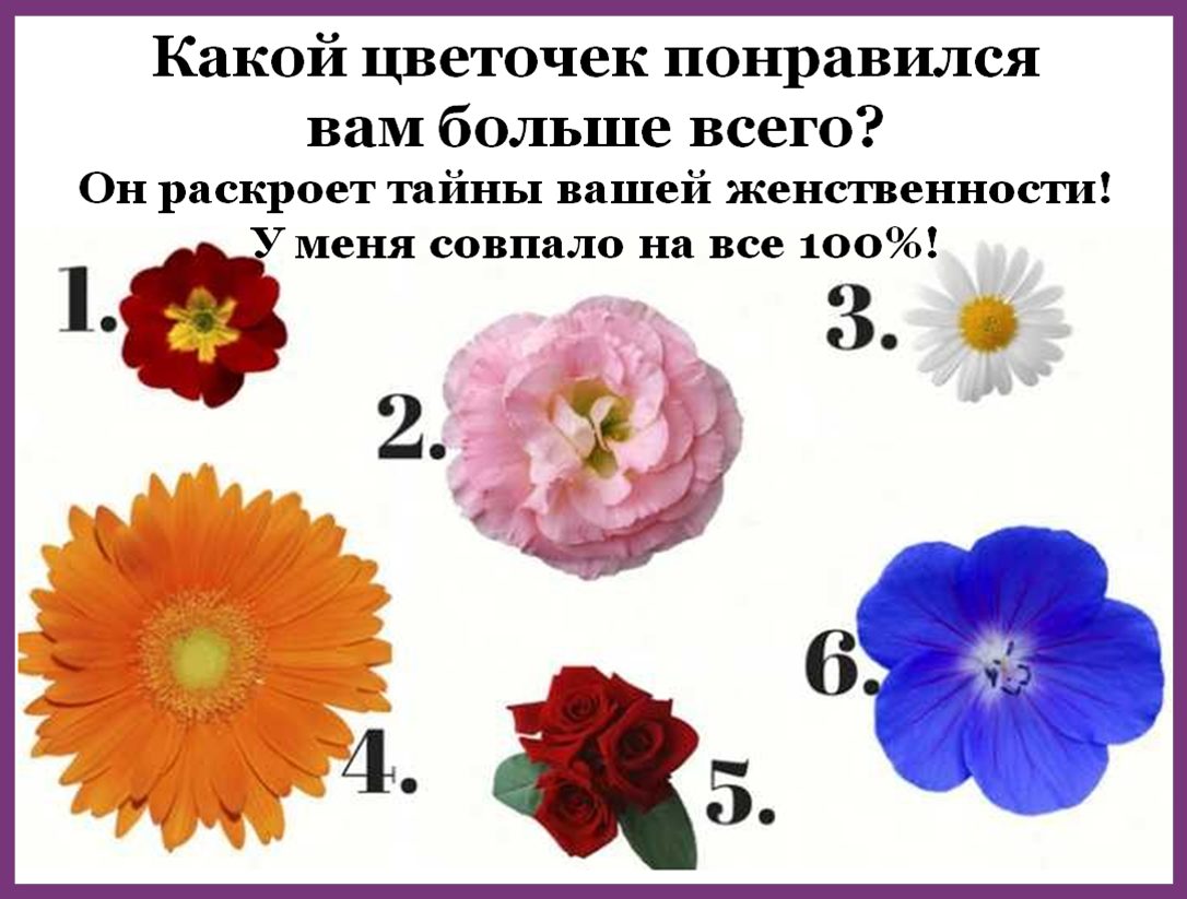 Тест по психологии цветы Тест по психологии цветы