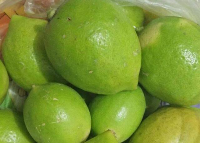 Lemon Untuk Menaikan Tensi Darah