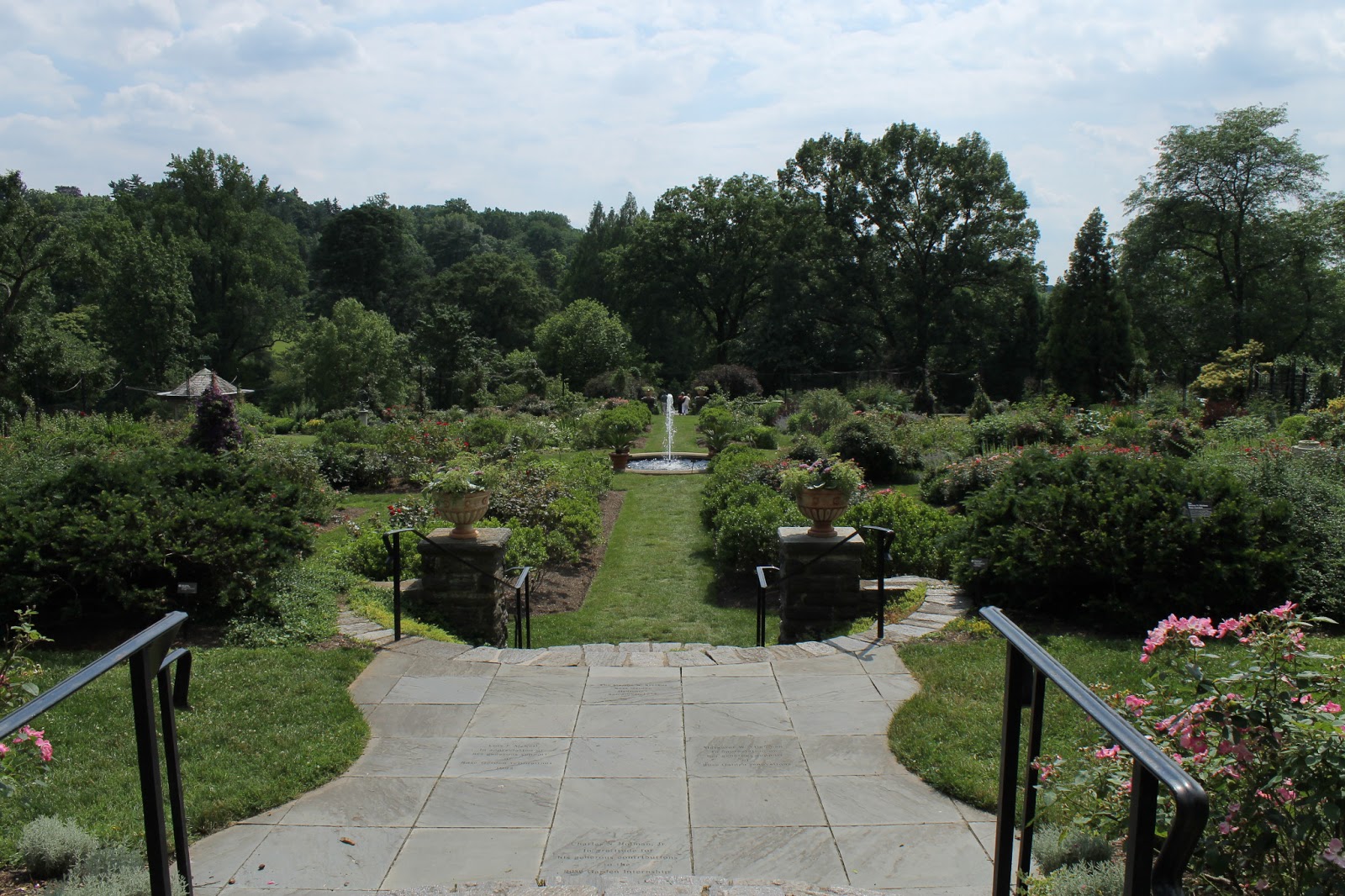 Grown in the Garden Morris ArboretumPhiladelphia, PA