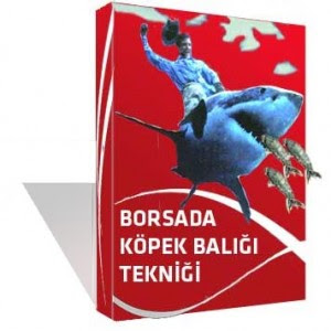 Forex 5n kitap