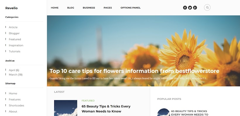 Revelio Free Blogger Template