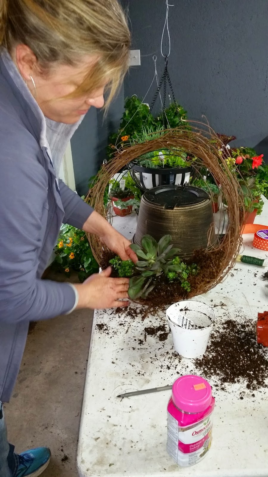 BJ's Plants & Produce