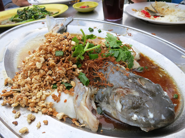 Steamed-Patin-Fish