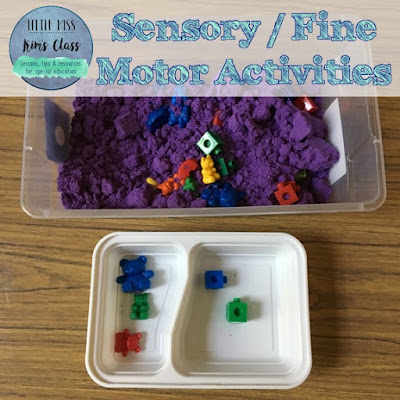 Sensory/ Fine Motor Activities in Special Education