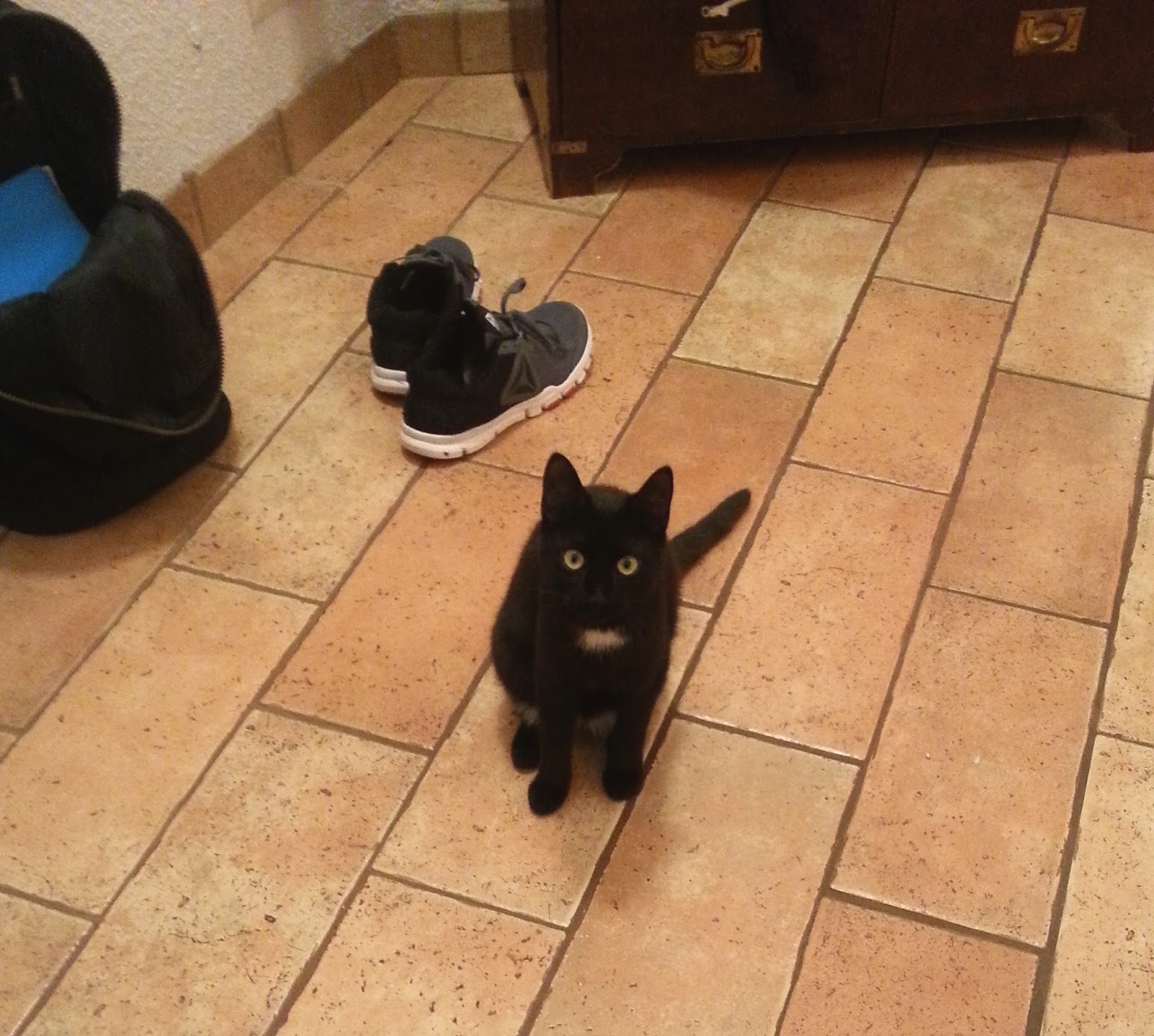 Seksikkäin eebenpuu porno