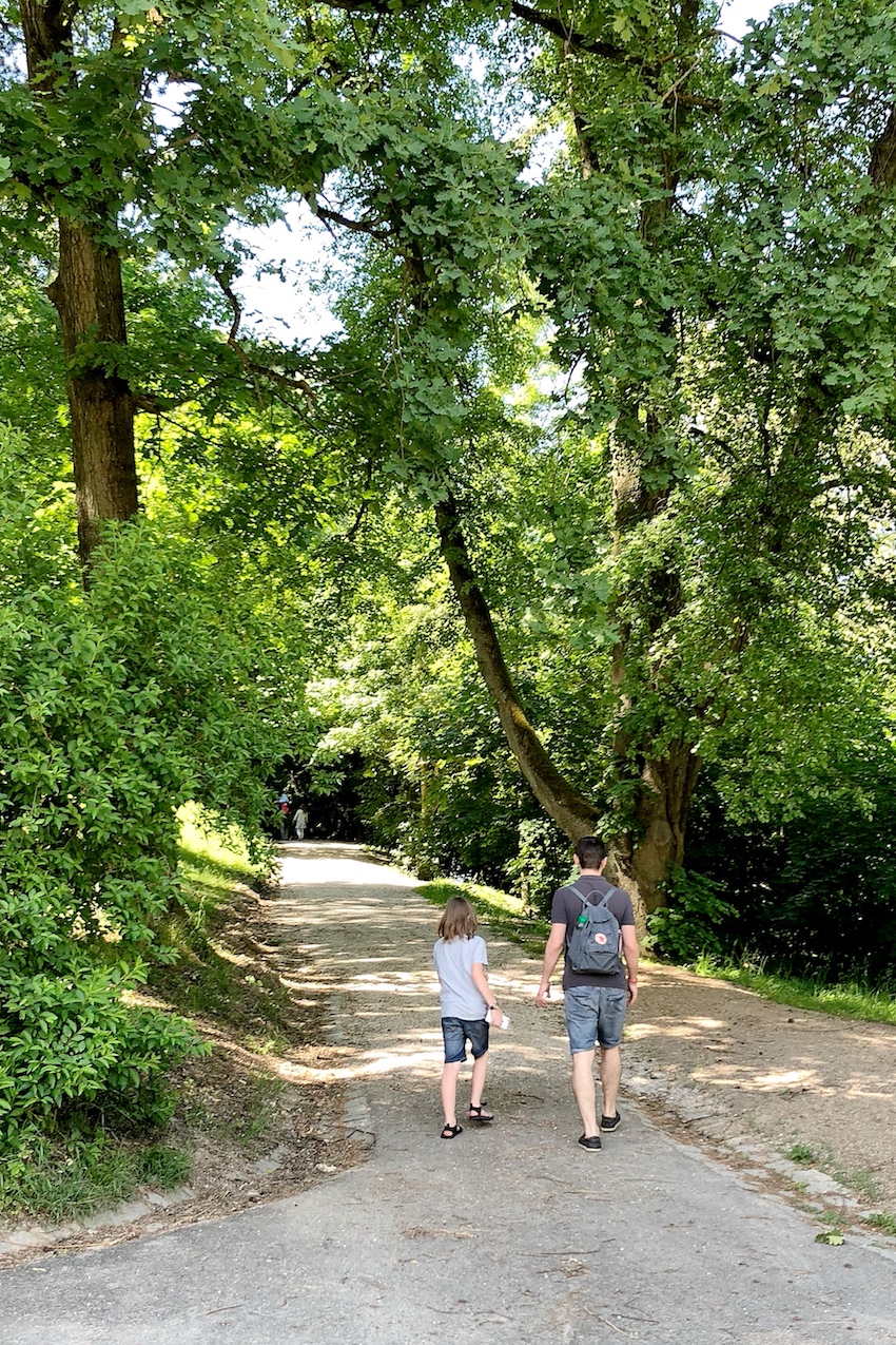 Abzweigung Stadtwanderweg Freinberg Abzweigung Stadtwanderweg Freinberg