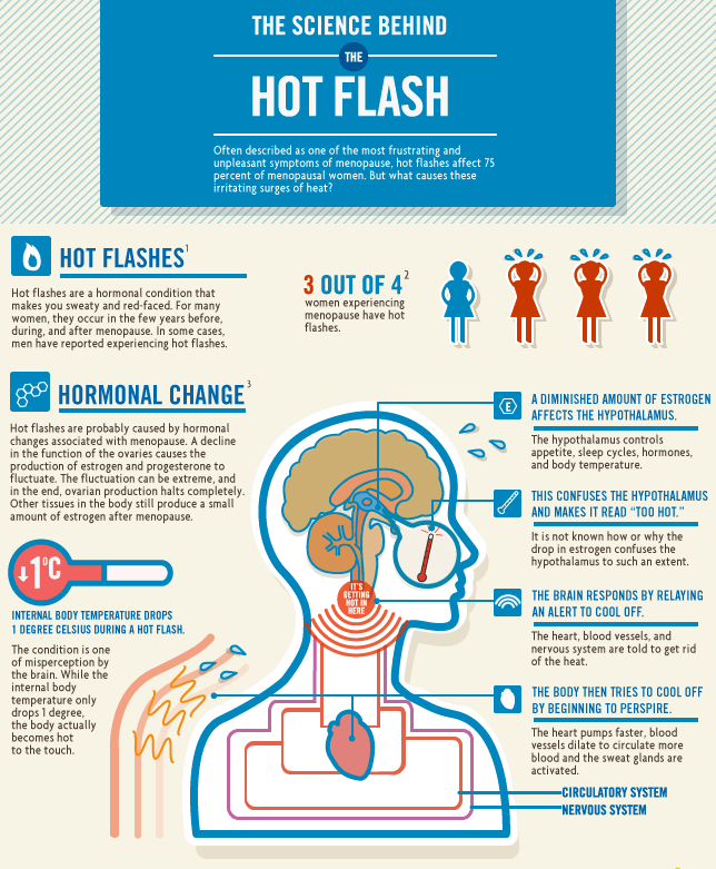 Hot flashes infographic