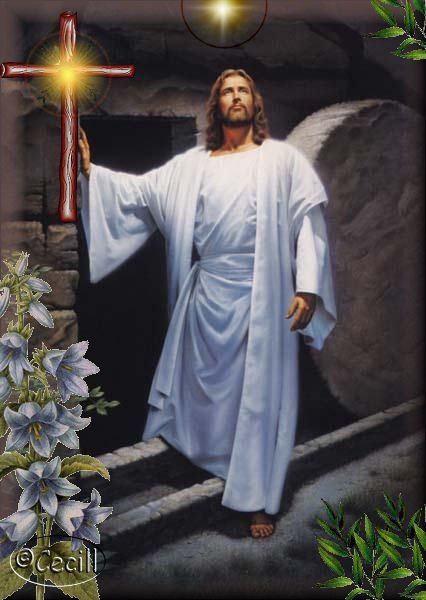 Misa Del Domingo 27 De Agosto Del 2017 Con El Padre Carlos Yepes misa-del-domingo-27-de-agosto-del-2017-con-el-padre-carlos-yepes