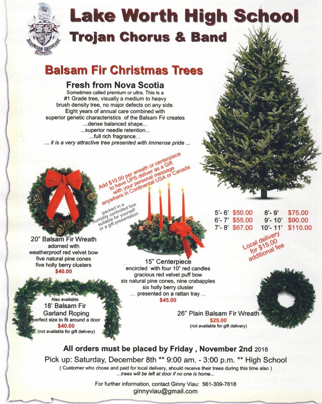 Lynn S Little Bit Of Trivia Order Your Real Xmas Tree From Lake
