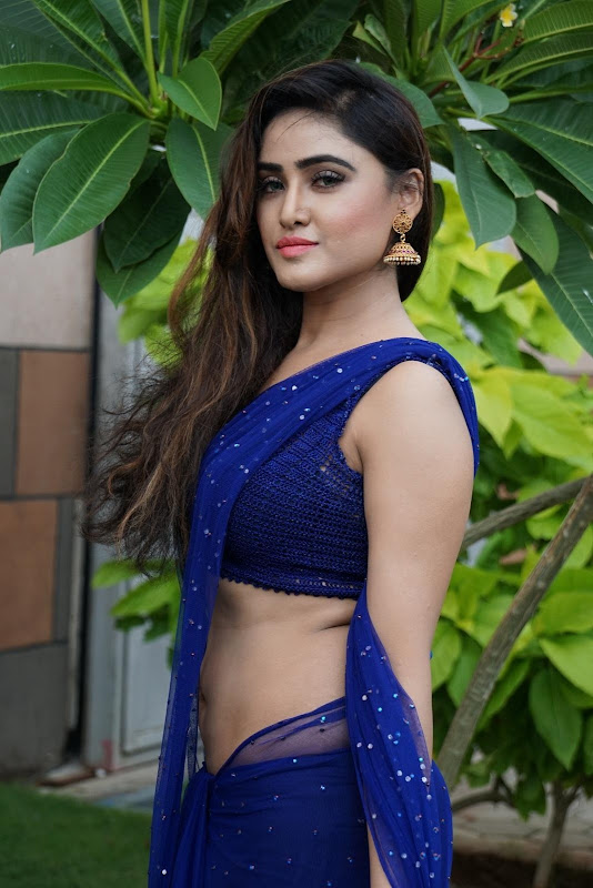 Sony Charishta Stills in Blue Saree