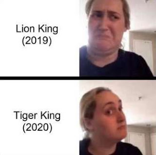 tiger king meme