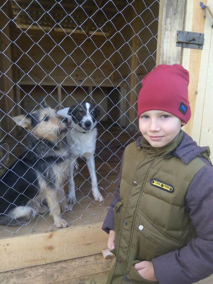 Nine-Year-Old Boy ‘Sells’ His Paintings For Food And Supplies For Shelter Animals Nine-Year-Old Boy ‘Sells’ His Paintings For Food And Supplies For Shelter Animals