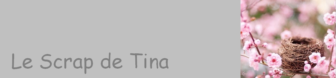 Le scrap de Tina