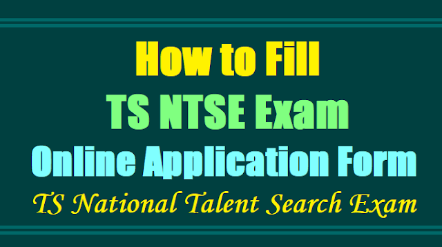 How to Fill TS NTSE Online Application Form, TS National Talent Search Exam 2017 How to Fill TS NTSE Online Application Form, TS National Talent Search Exam 2017