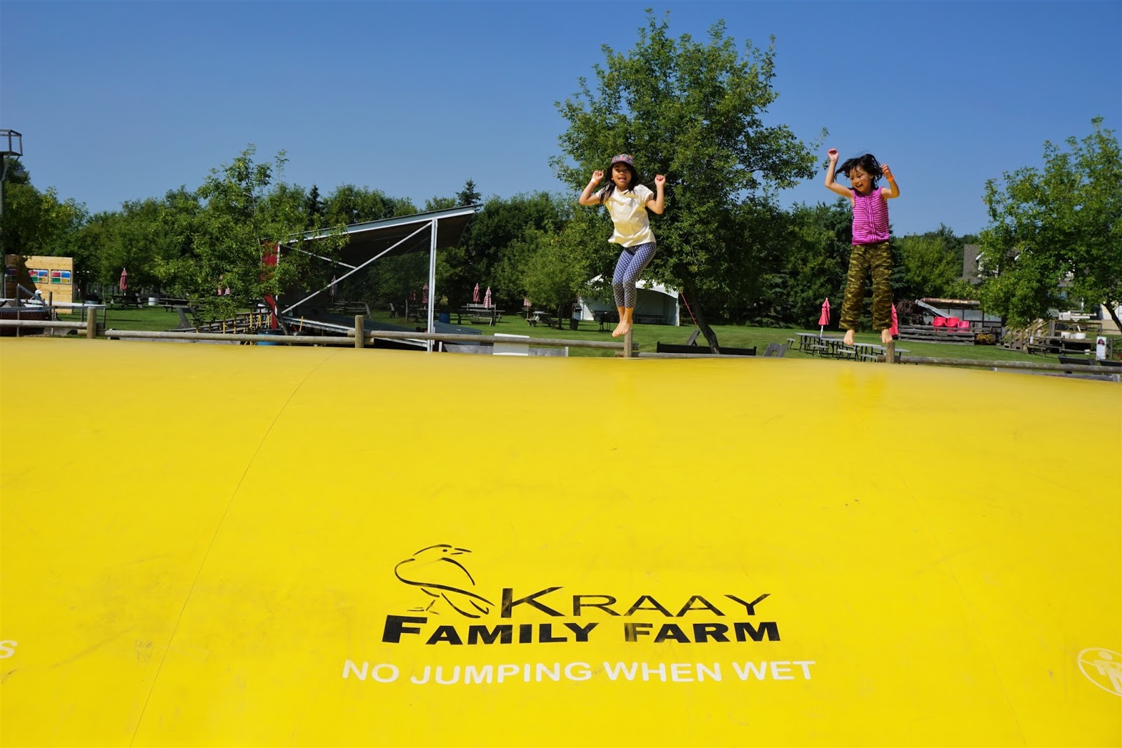 Endless Fun at Kraay Family Farm & Corn Maze Play Outside Guide