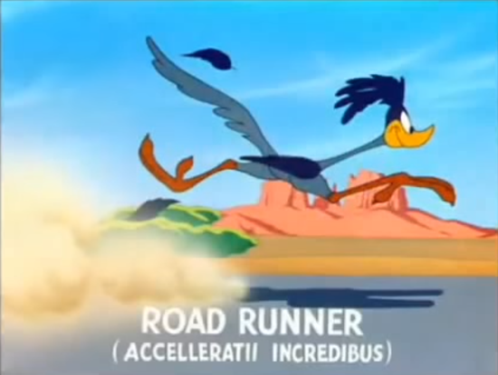 The Road Runner, first appearance 1949