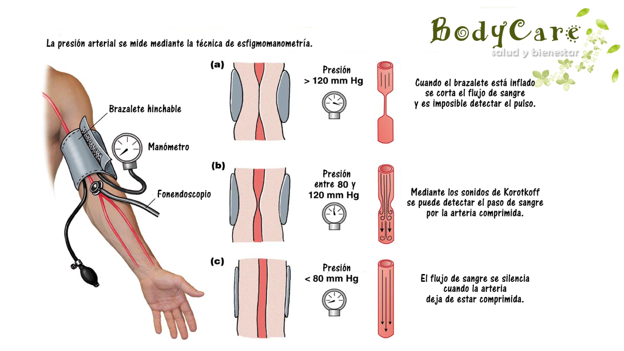 Tension arterial media calculo