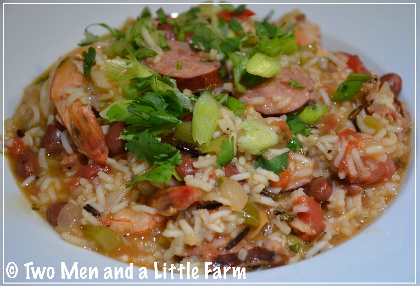 Two Men and a Little Farm CITY CREOLE JAMBALAYA RECIPE