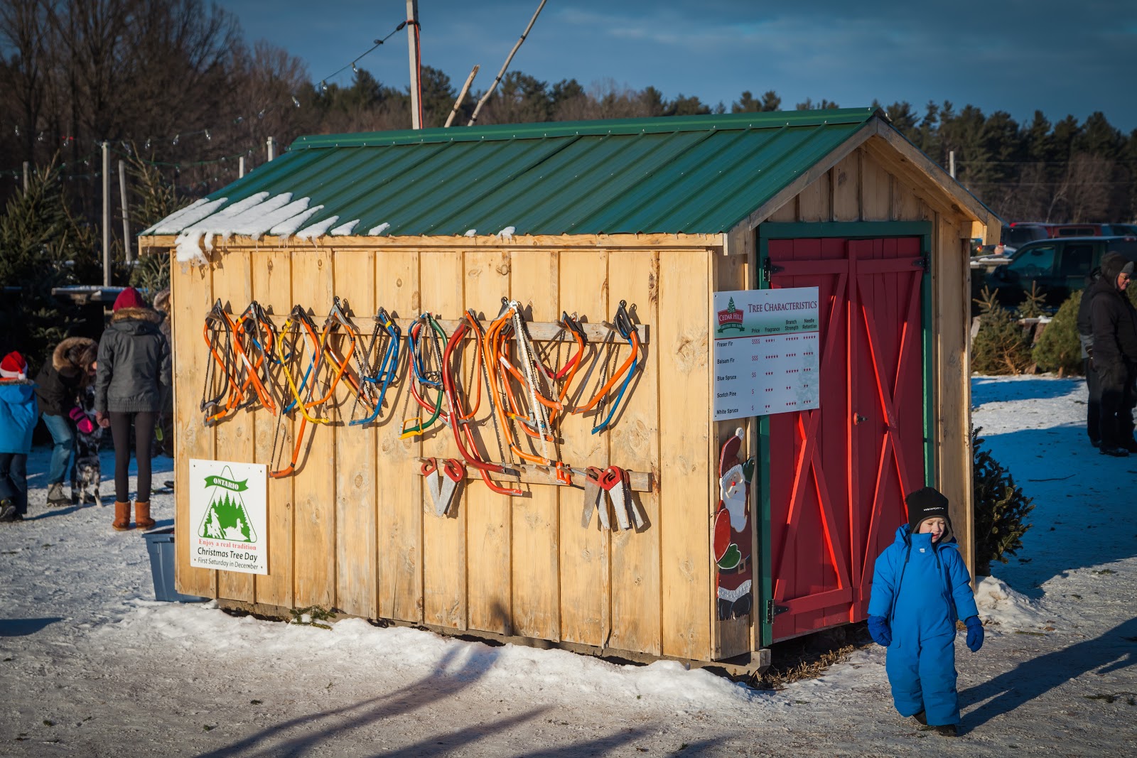 Cut Your Own Christmas Tree This Winter Explore the World with Simon