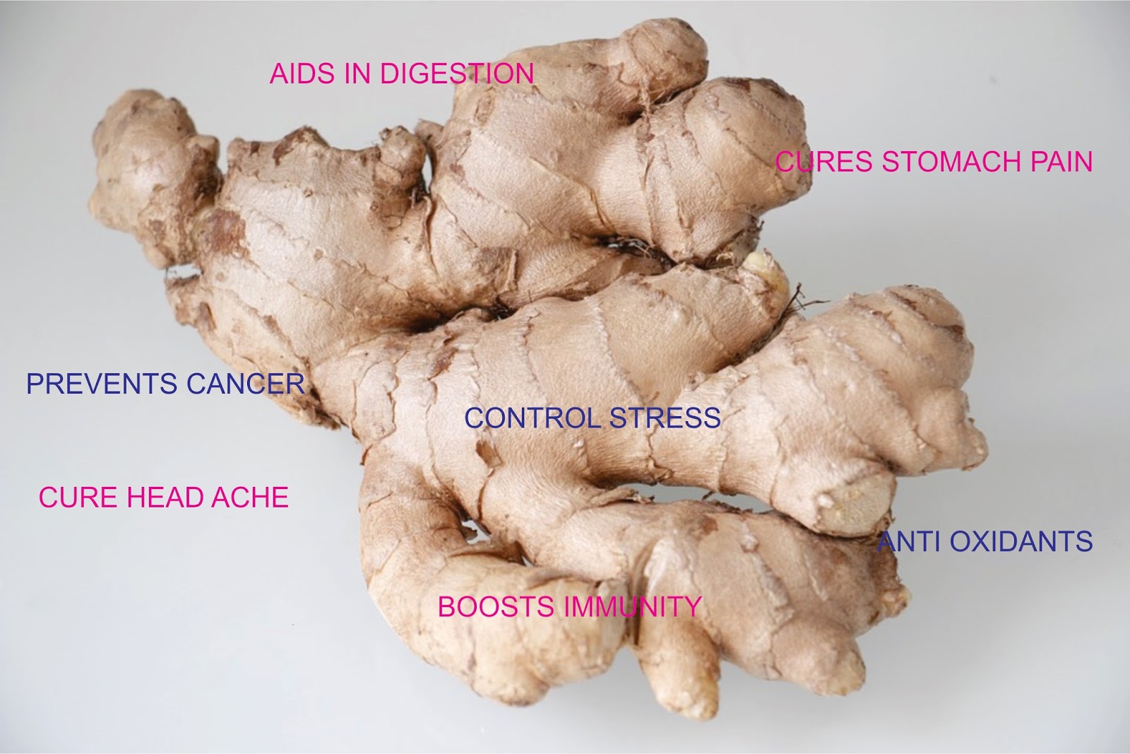 GINGER HEALTHY FOOD FOR HEALTHY LIFE GLOOMING TRENDZ