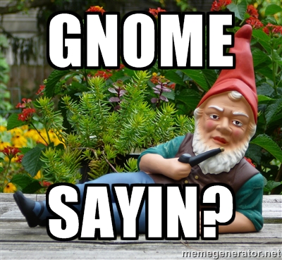 Image result for gnome saying meme