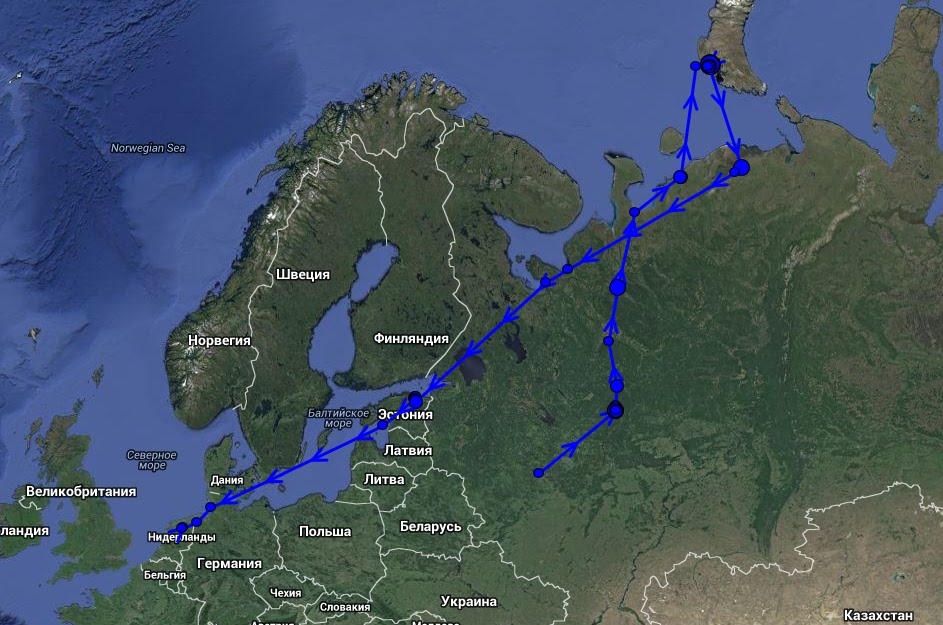 Карта пролета. Миграция гусей в России. Карта миграции гусей 2022 в России. Пути миграции гусей. Маршрут миграции гусей.