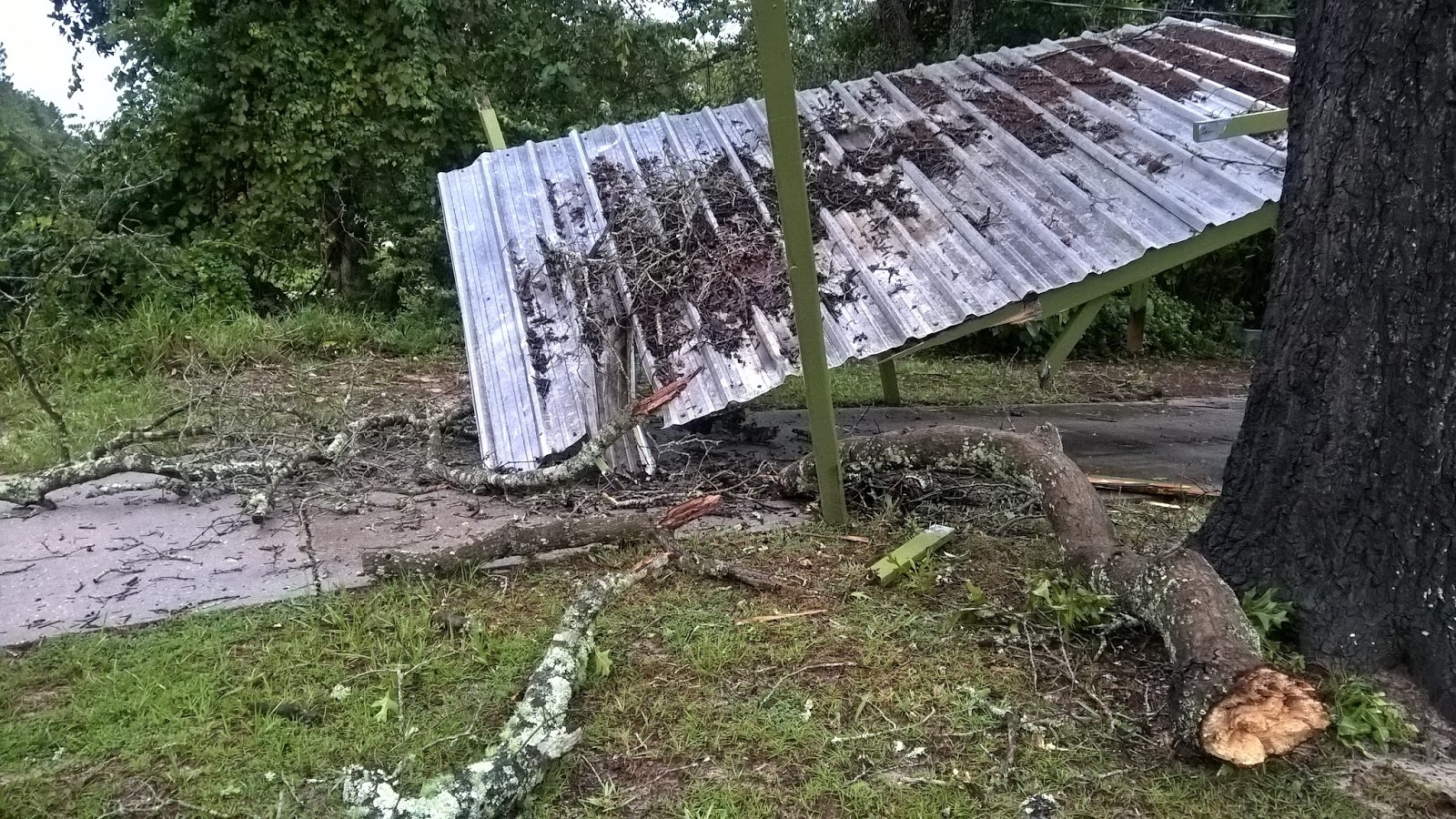 Between The Covers With Sandra Dailey When Life Gives You