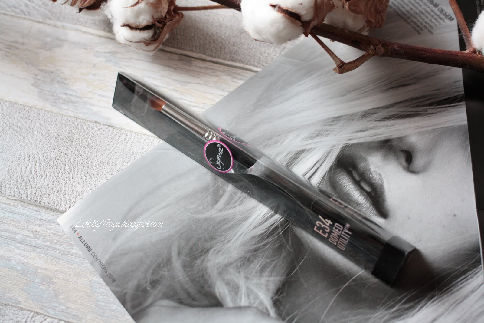 Review Sigma Brushes F79 Concealer Blend Kabuki, E34 Domed Utility