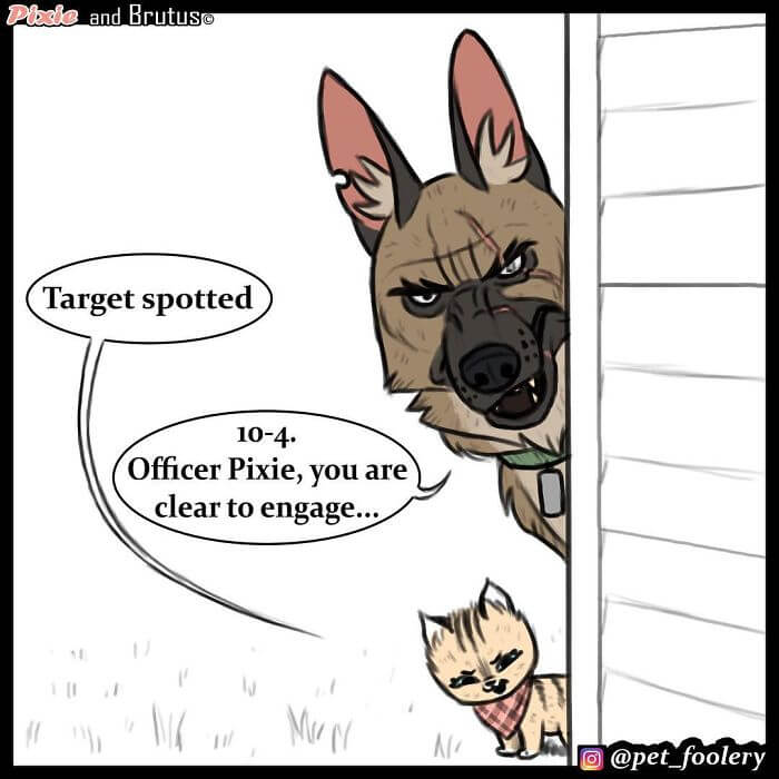 Adorable Comics About Pixie, The Kitten, And Brutus, The Dog Adorable Comics About Pixie, The Kitten, And Brutus, The Dog