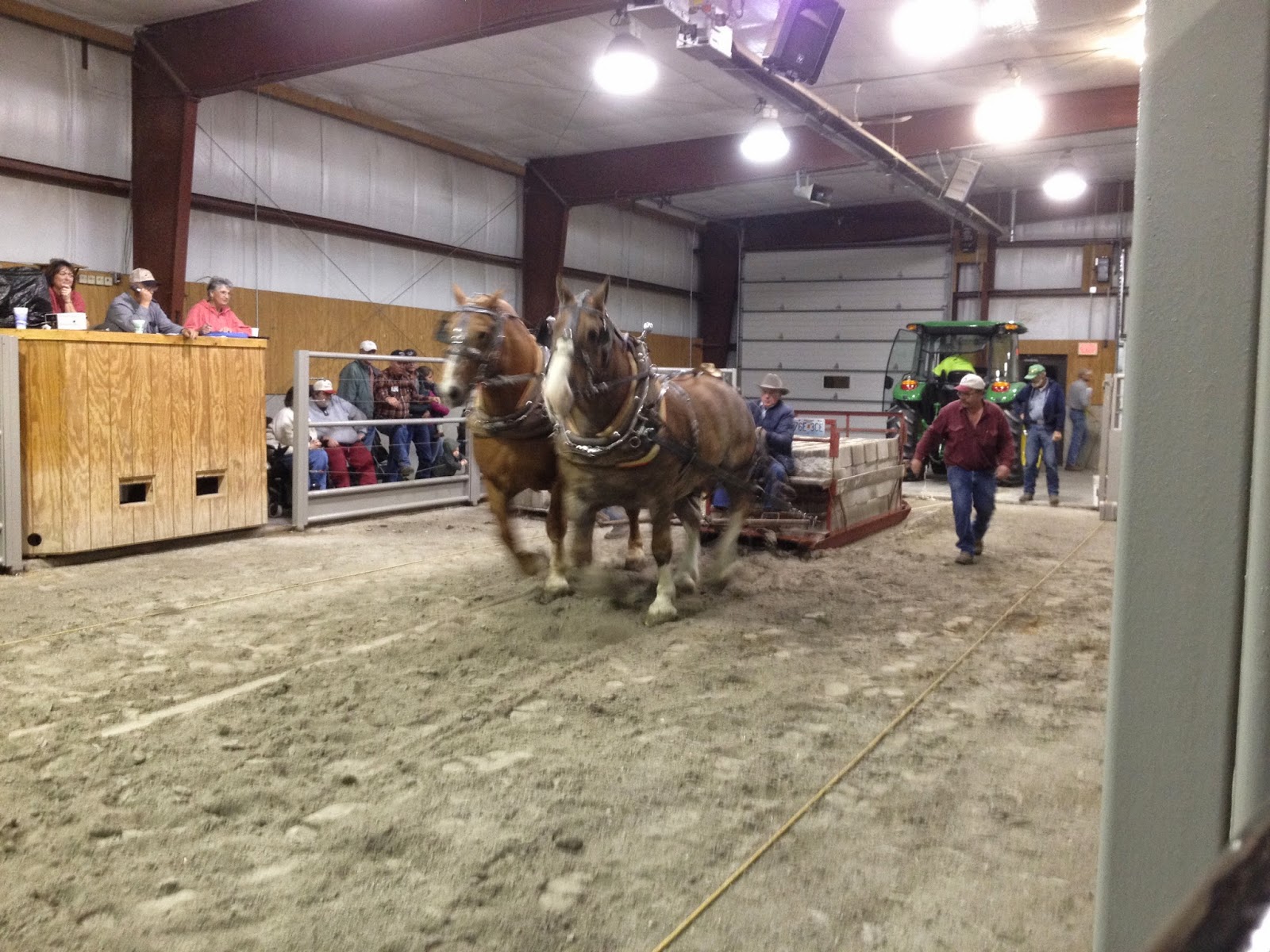 Amish Horses Horse Pull in Photos