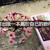 【旅行工具】如何出版一本屬於自己的旅行書