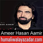 https://www.humaliwalayazadar.com/2012/12/ameer-hasan-aamir-nohay-2001-2013.html
