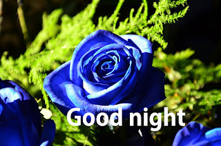 good night romantic rose images