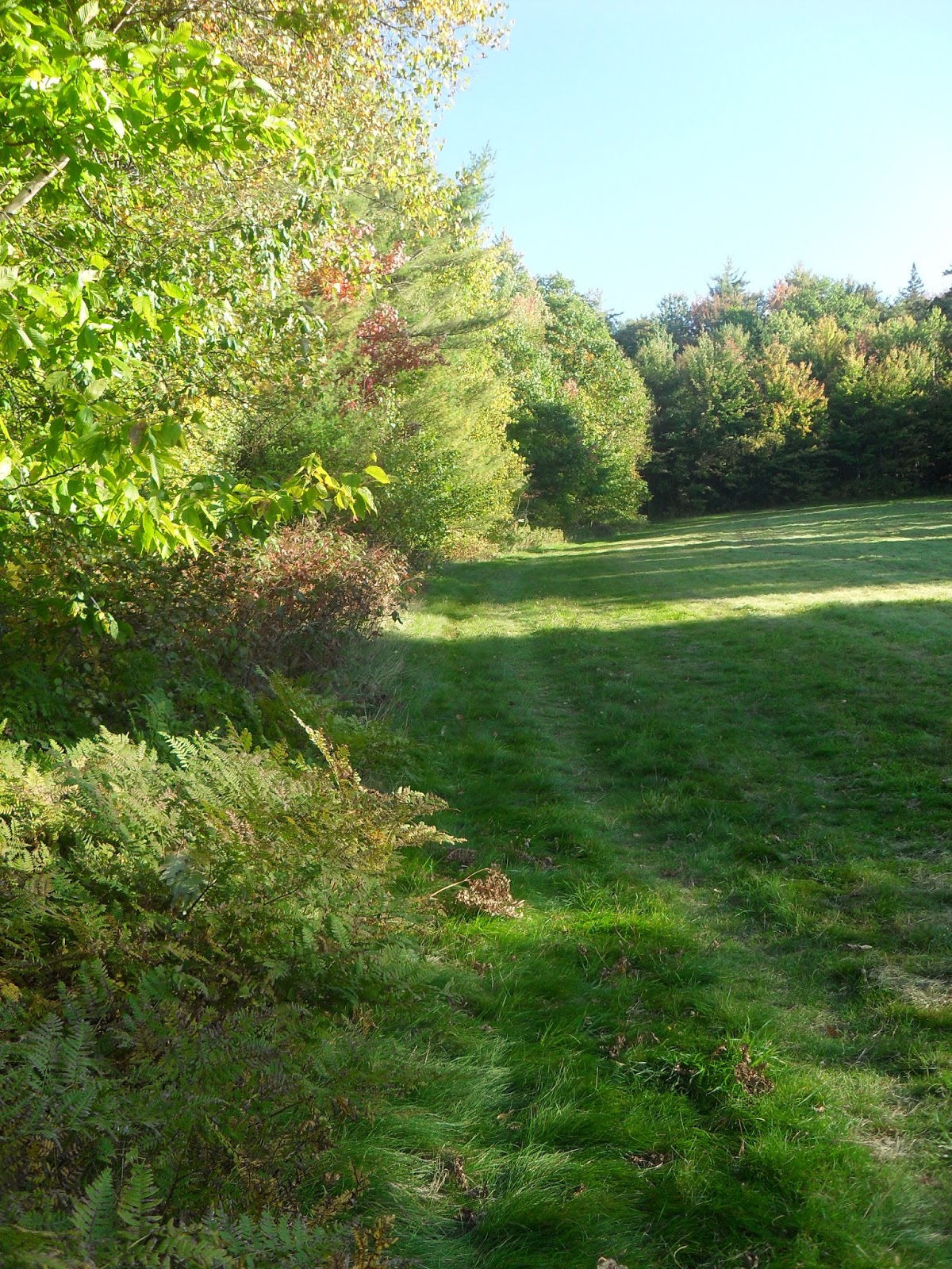 Leave The World Below TRIP REPORT Kilburn Crags (Littleton, NH)