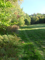 Kilburn Crags field (Littleton NH)