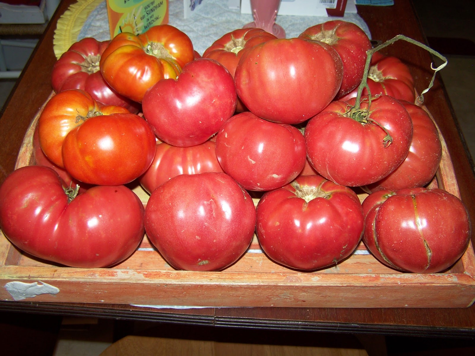Writing in the Blackberry Patch What Kind of Tomatoes do you Grow?